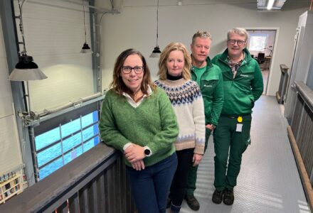 Offentlige anskaffelser åpner muligheter