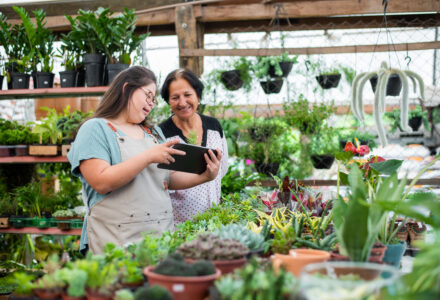 Customized Employment i ASVL